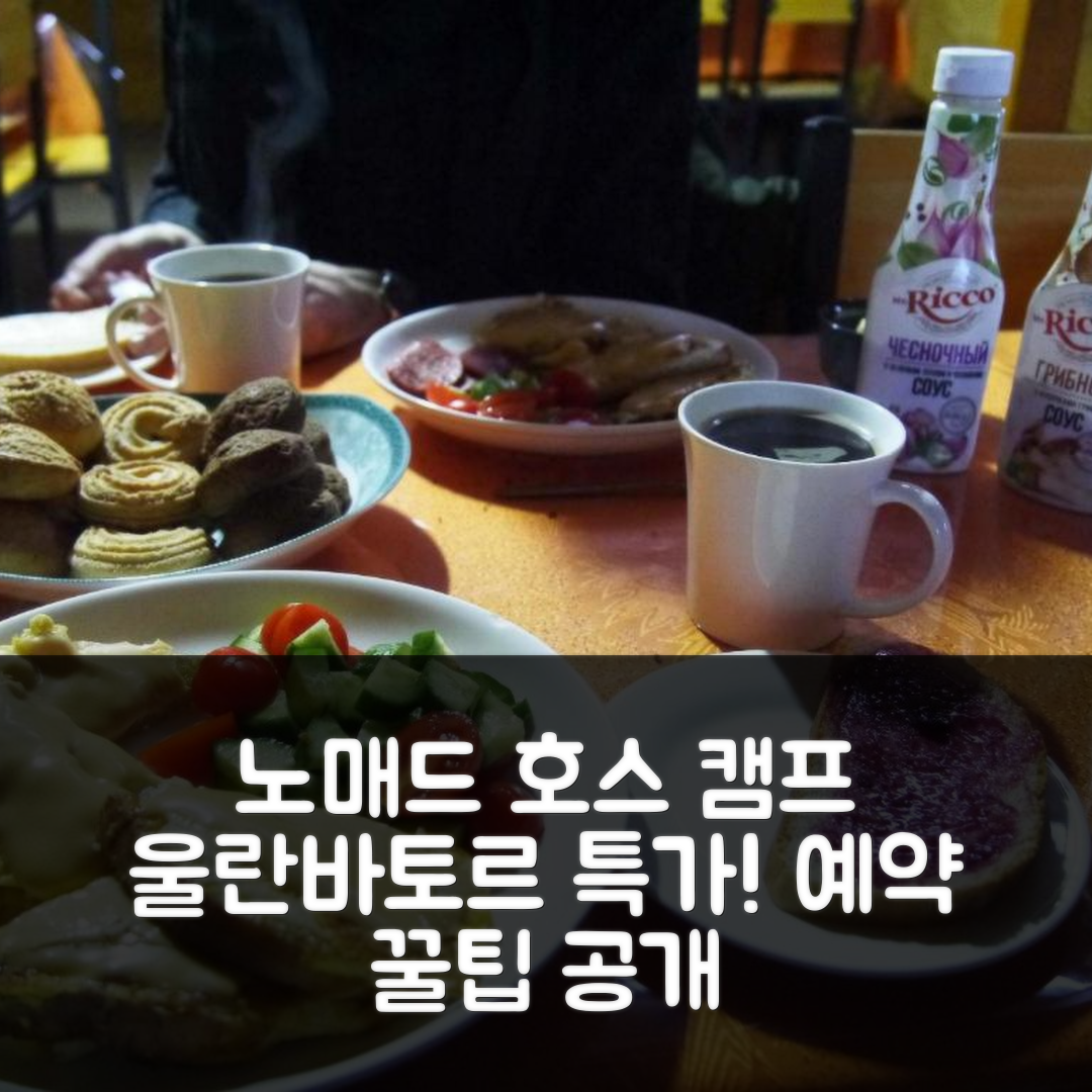 노매드 호스 캠프 울란바토르 특가 예약 꿀팁!