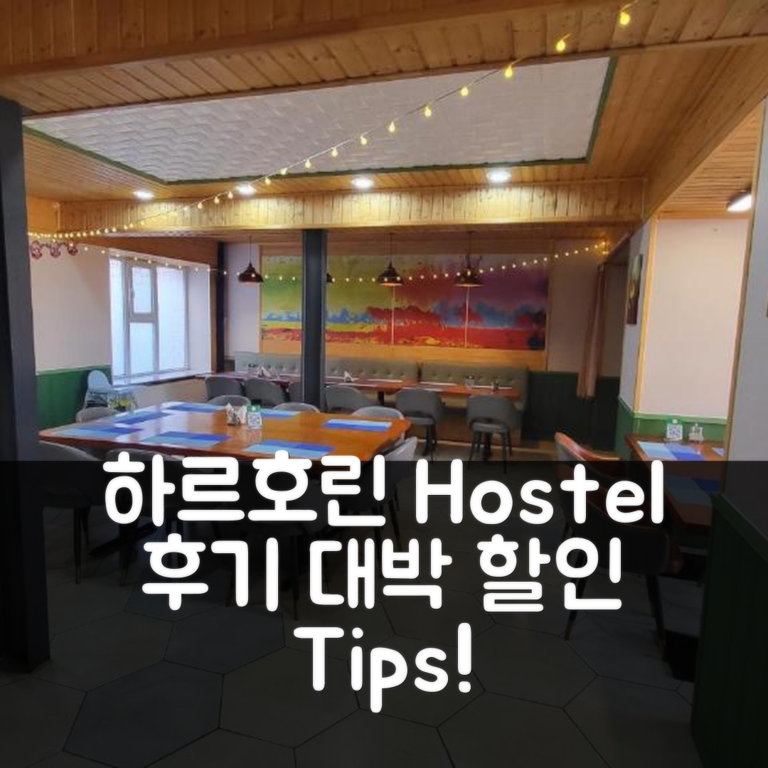 Kharkhorin hostel 하르호린 후기 & 대박 할인 팁!