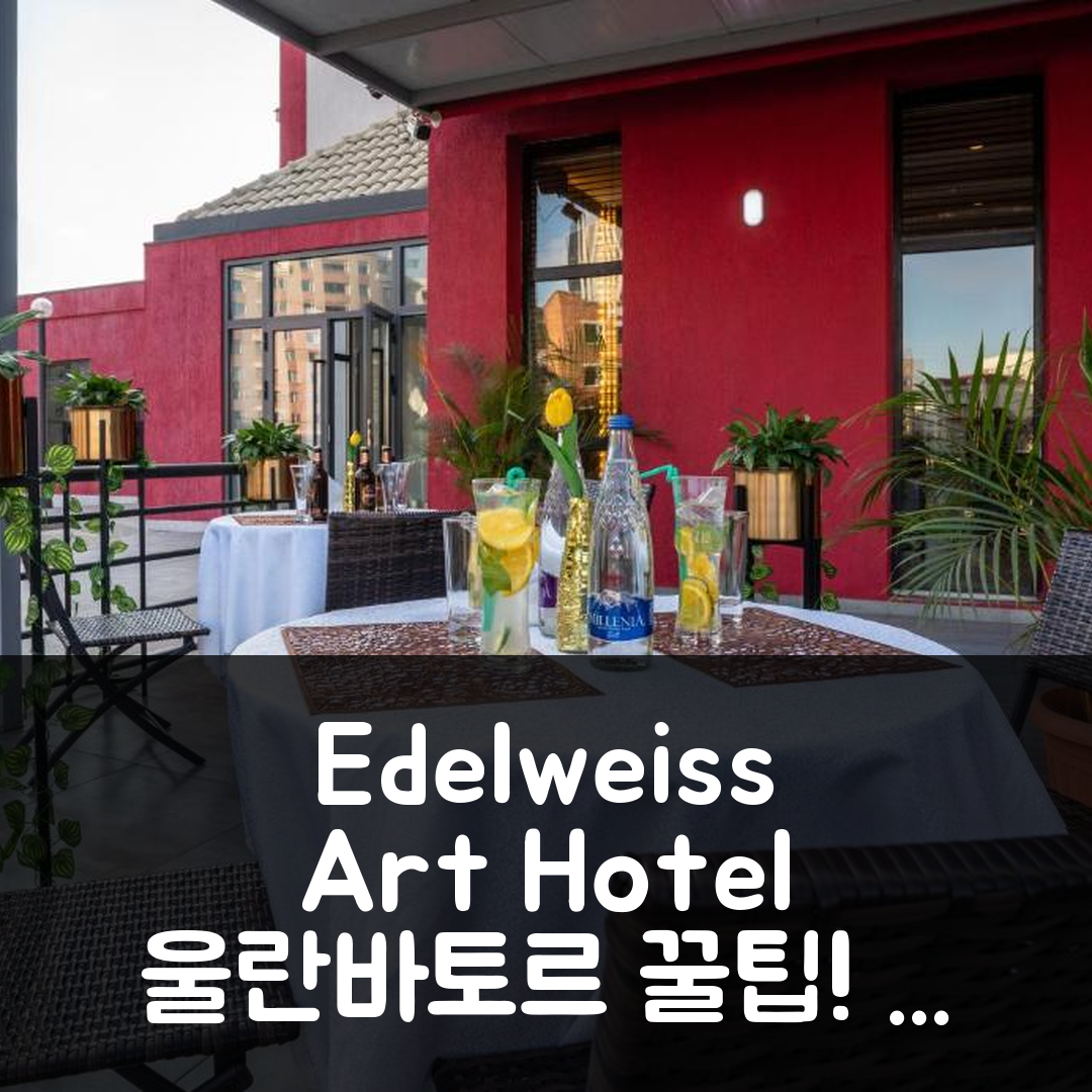 Edelweiss Art Hotel 울란바토르 리뷰&특가 예약 꿀팁!