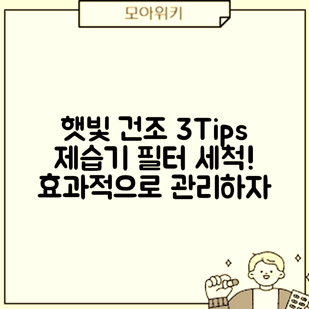 제습기 필터 세척 후 햇빛 건조 3가지 팁