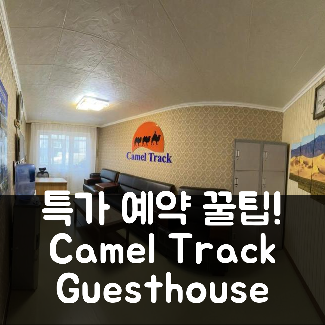 Camel Track Guesthouse and Tour Operator LLC 울란바토르 후기와 특가 예약 꿀팁!
